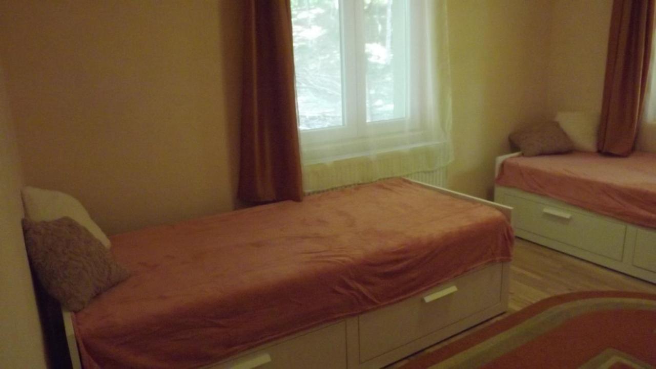 Casa De Oaspeti Boga Pietroasa  المظهر الخارجي الصورة